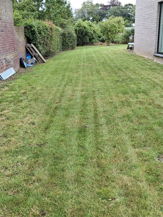 Vers gemaaid gazon met maailijnen
