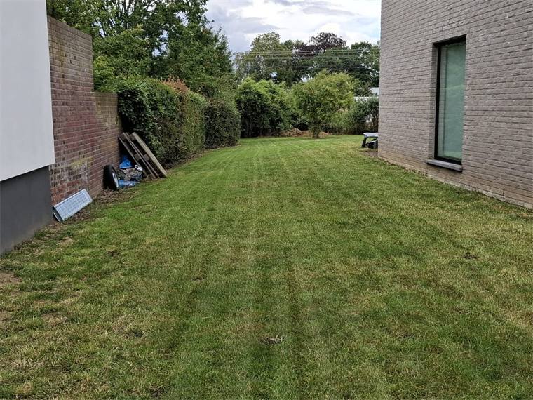 Gemaaid gazon naast de woning