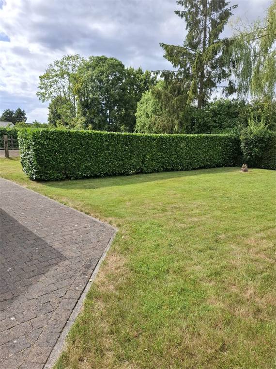 Geschoren haag rond een verzorgde tuin